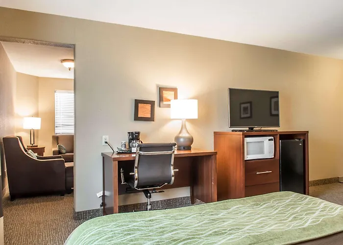 Comfort Inn Edinburg South