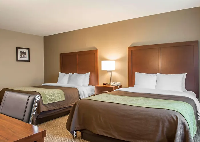Comfort Inn Edinburg South
