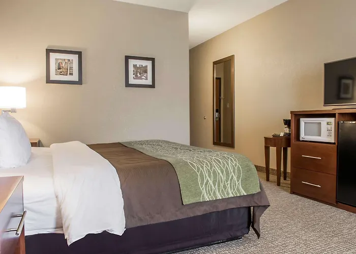 Comfort Inn Edinburg South
