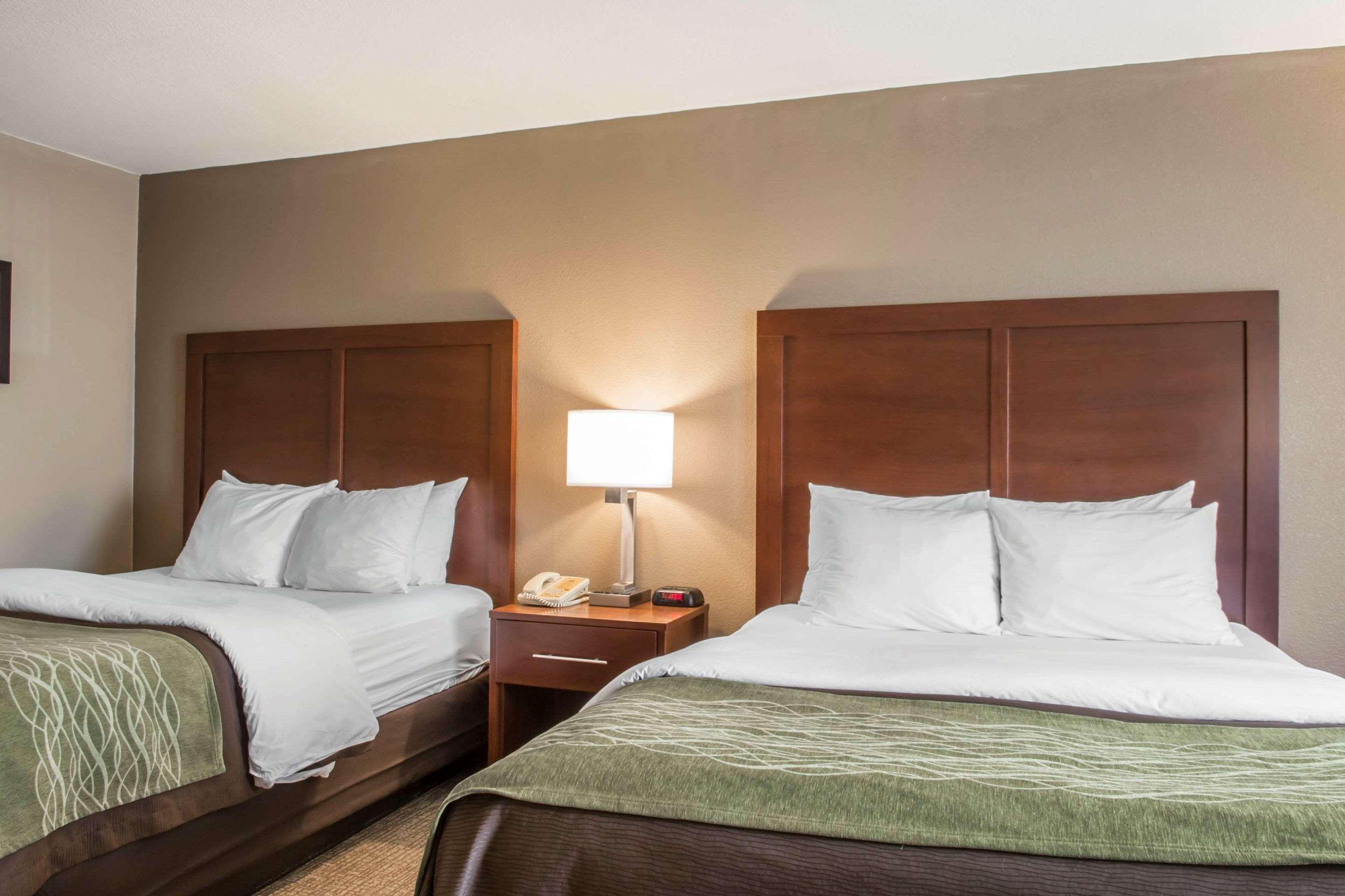 Comfort South Mini-hôtel 3*